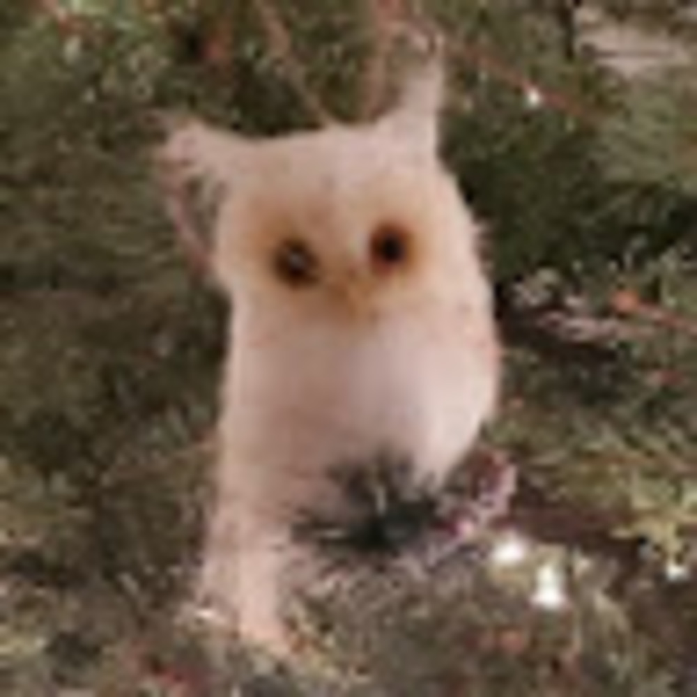 Meet your Posher, Oksana